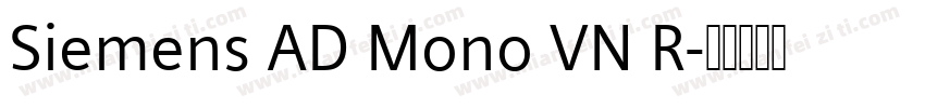 Siemens AD Mono VN R字体转换
